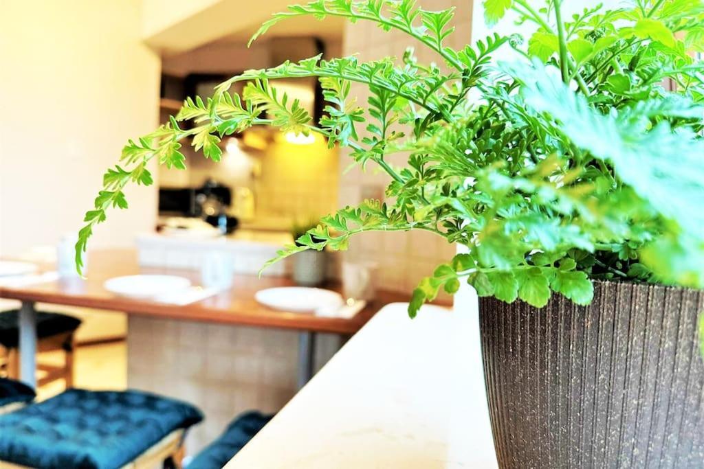 קרקוב Exclusive Penthouse Near Citycenter 120M2 +Netflix מראה חיצוני תמונה