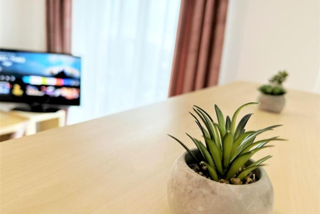 קרקוב Exclusive Penthouse Near Citycenter 120M2 +Netflix מראה חיצוני תמונה